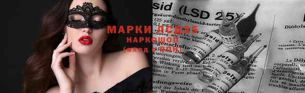 прущий лед Богданович