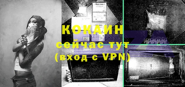 прущая мука Богородицк