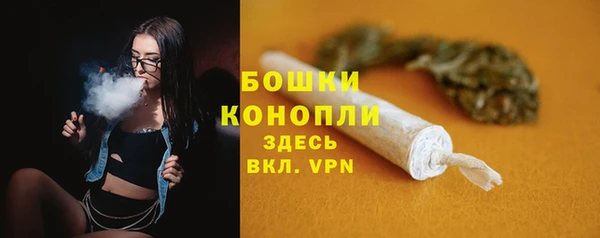 прущий лед Богданович