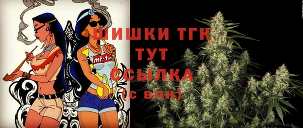 прущий лед Богданович