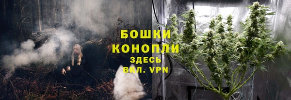 прущая мука Богородицк