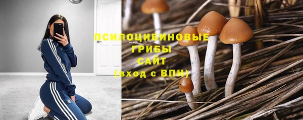 прущий лед Богданович